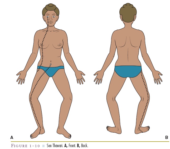 Joint Pain Leg