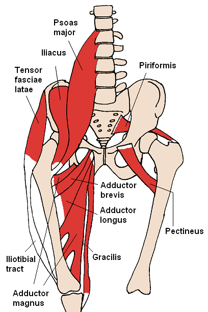 Joint Pain Leg And Hip