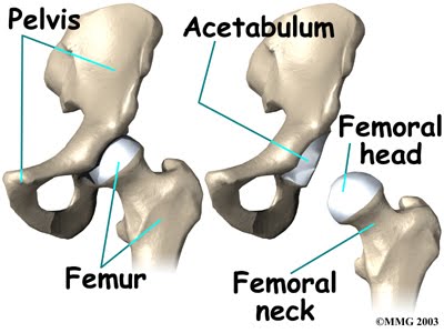 Joint Pain Leg And Hip