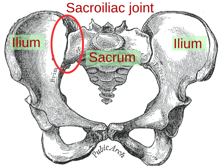 Joint Pain Leg And Hip