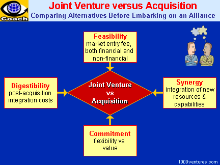 Joint Venture Structure