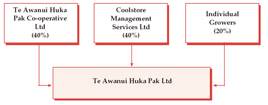 Joint Venture Structures