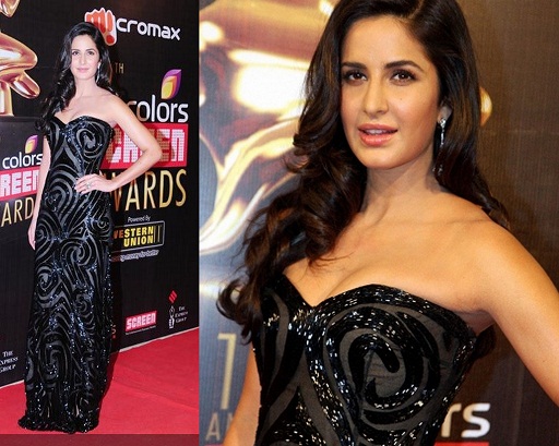 Katrina Kaif 2013