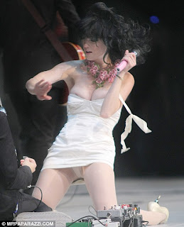 Katy Perry Hot N Cold Dress