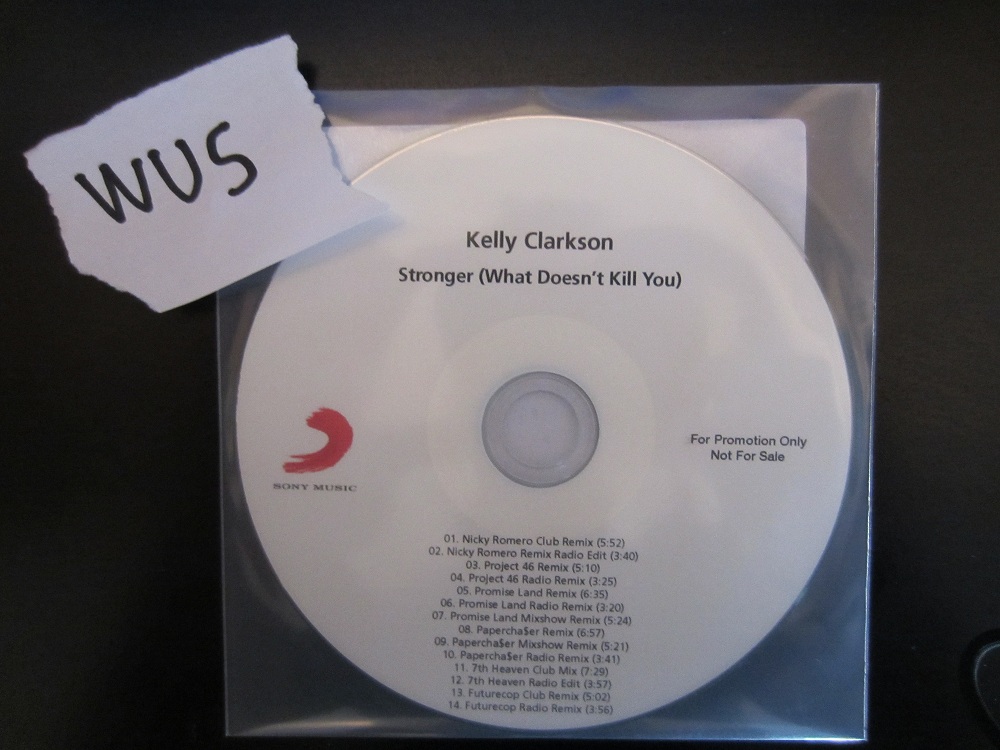 Kelly Clarkson Stronger Remix Zippy