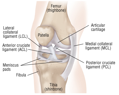 Knee Joint Pain Treatment