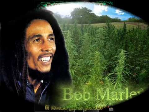 Legalize It Lyrics Bob Marley