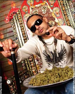 Legalize It Lyrics Sean Paul