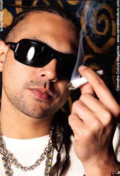 Legalize It Lyrics Sean Paul