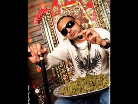 Legalize It Lyrics Sean Paul