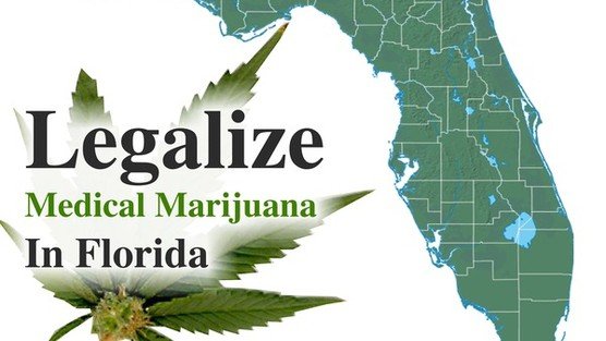 Legalize Weed In Florida 2013