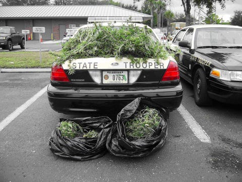 Legalize Weed In Florida