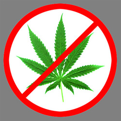 Legalize Weed Or Don