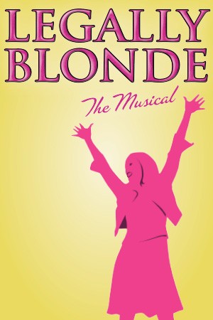 Legally Blonde The Musical Cast Broadway