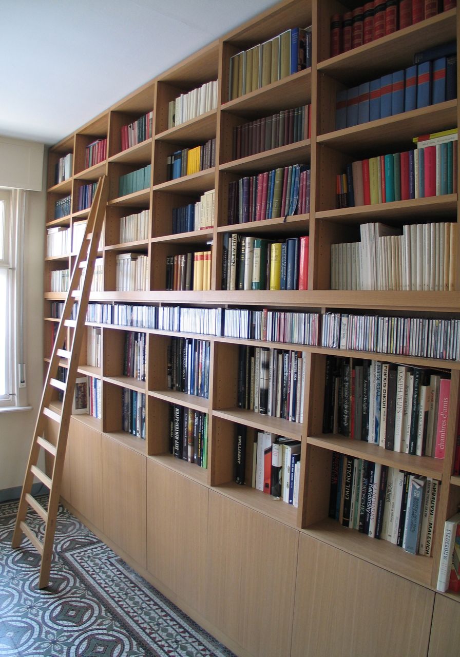 Library Bookshelf With Ladder