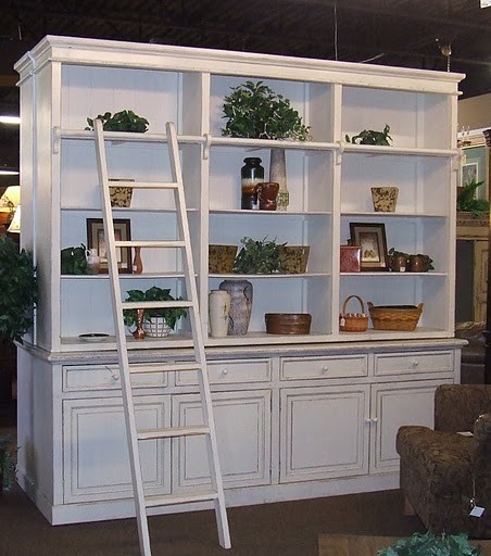 Library Bookshelf With Ladder