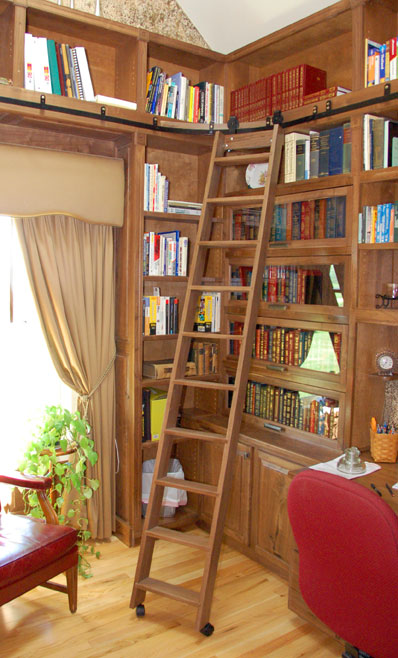 Library Bookshelf With Ladder