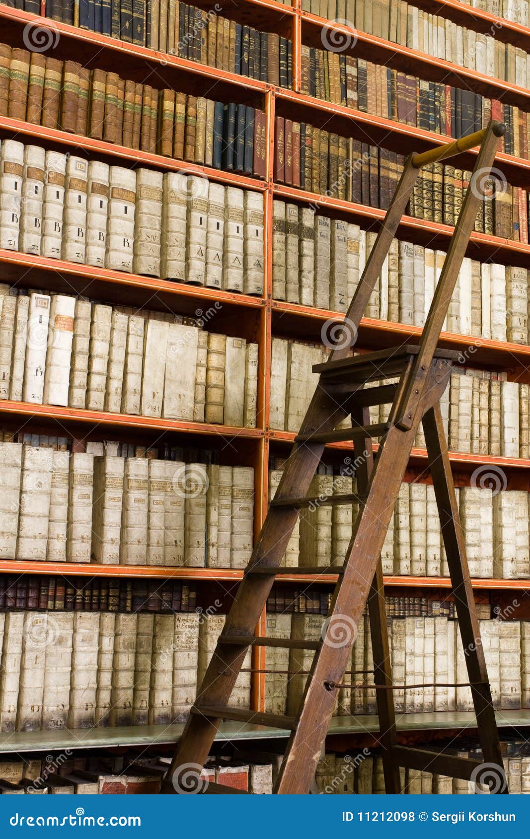 Library Bookshelf With Ladder