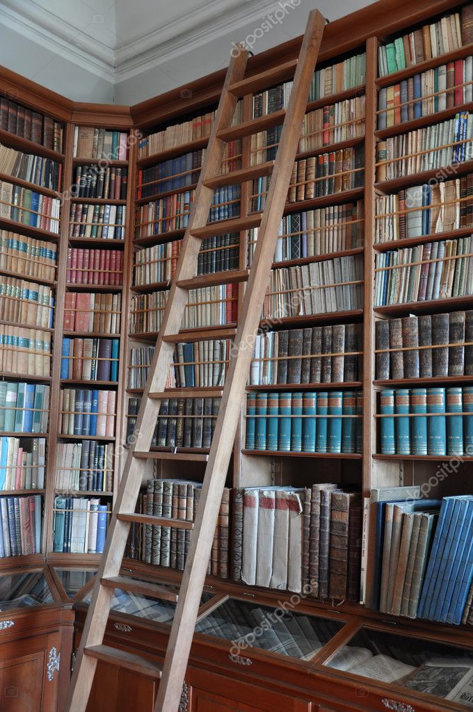 Library Bookshelves With Ladder