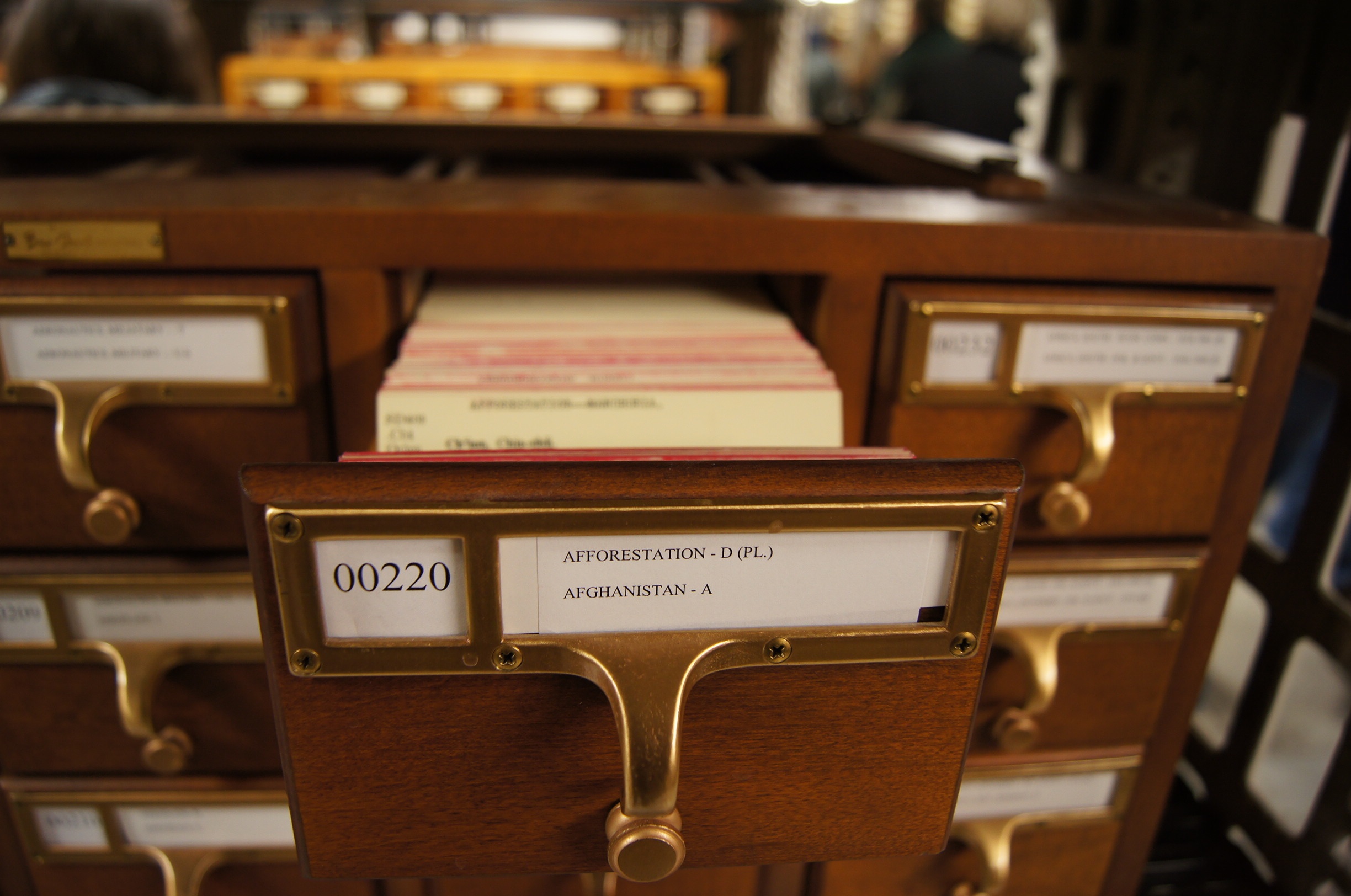 Library Card Catalog