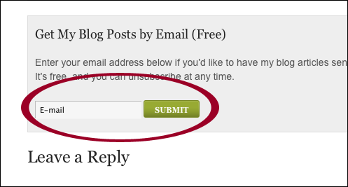 Mailchimp Signup Form Wordpress