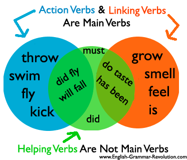 Main Verbs And Helping Verbs Test