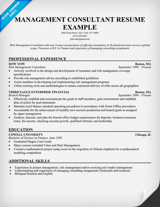 Management Consulting Resume