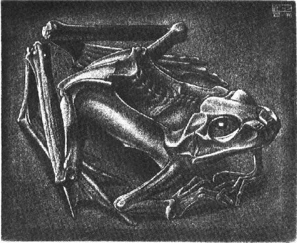 Mc Escher Eye Mezzotint