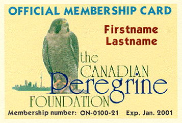 Membership Card Sample