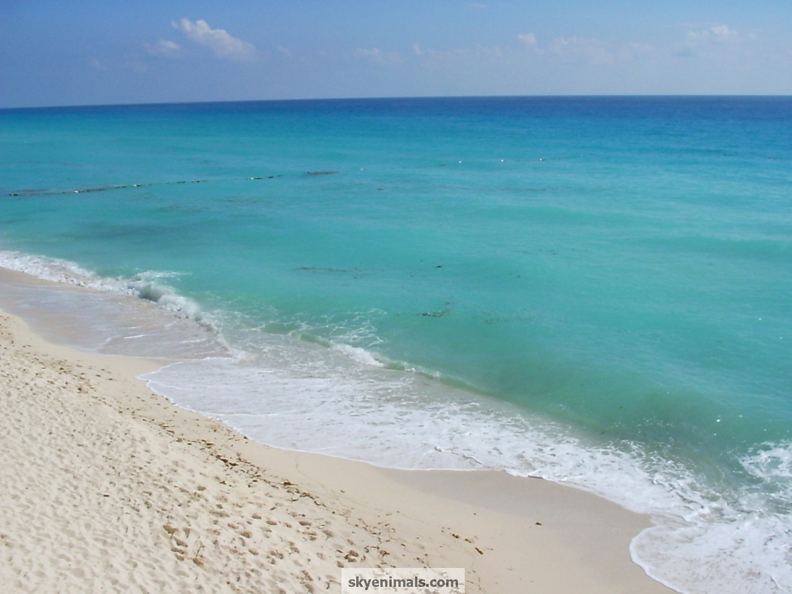 Mexico Beaches Wallpaper