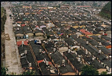 Mexico City Houses