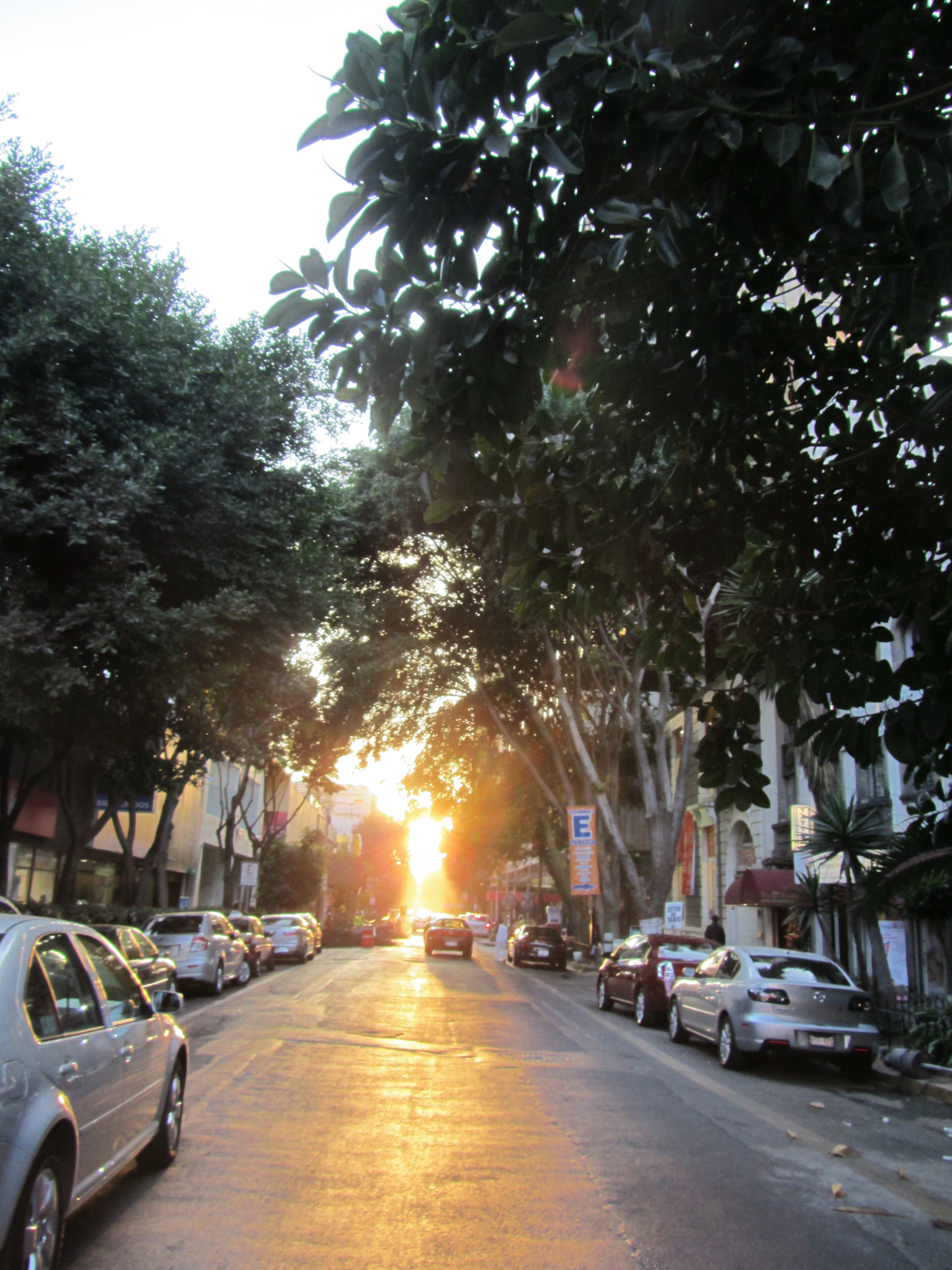 Mexico City Streets At Night