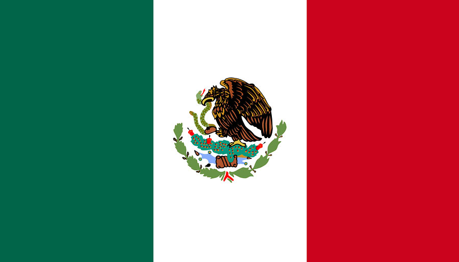 Mexico Flag Eagle