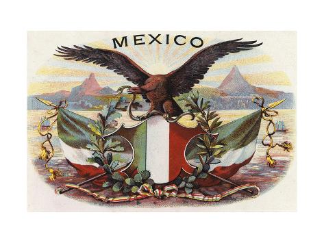 Mexico Flag Eagle