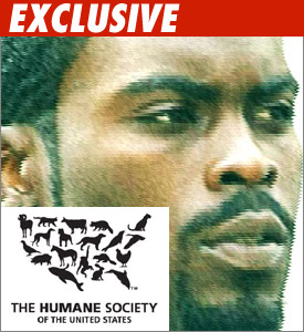 Michael Vick Dog Abuse Pictures