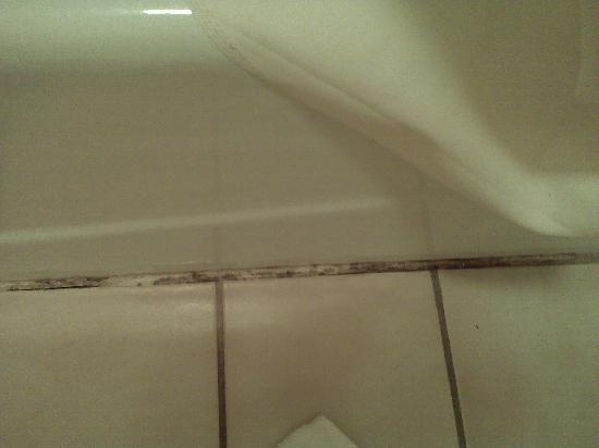 Mildew Bathroom