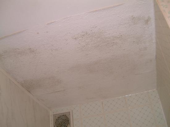 Mildew Bathroom