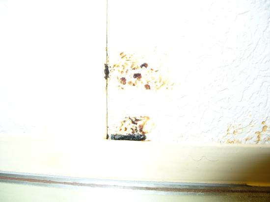 Mildew Bathroom Ceiling