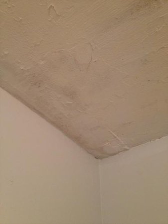 Mildew Bathroom Ceiling