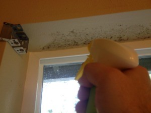 Mildew Bathroom Ceiling Removal