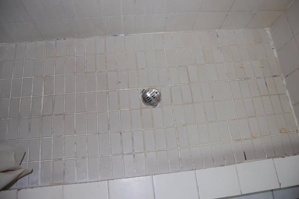 Mildew Bathroom Floor