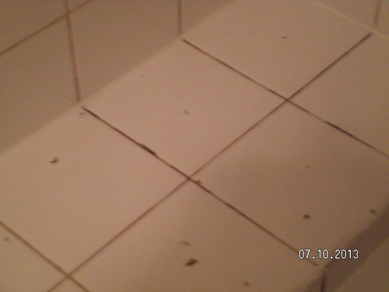 Mildew Bathroom Grout