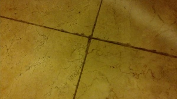 Mildew Bathroom Grout