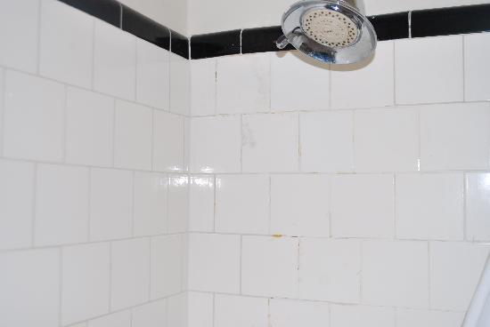 Mildew Bathroom Tiles