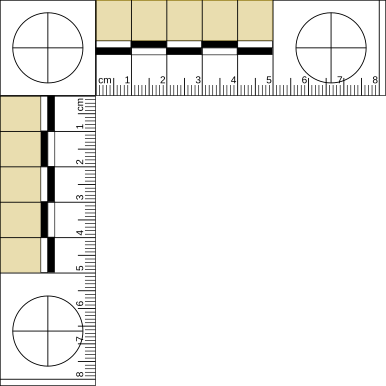 Millimeter Ruler Online Actual Size