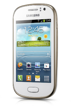 Mobile Themes For Samsung Galaxy Young