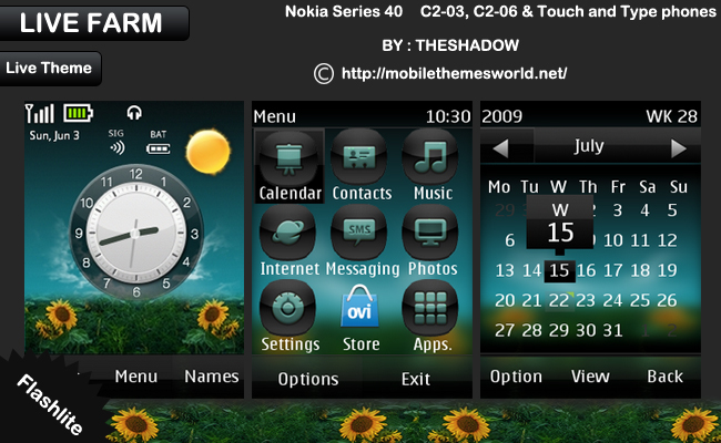 Mobile Themes Nokia C2 03