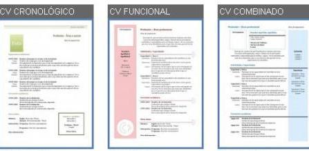 Modelos De Curriculum Vitae Gratis