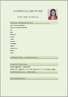 Modelos De Curriculum Vitae Para Completar