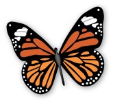 Monarch Caterpillar Clipart